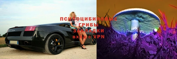 ALPHA PVP Санкт-Петербург