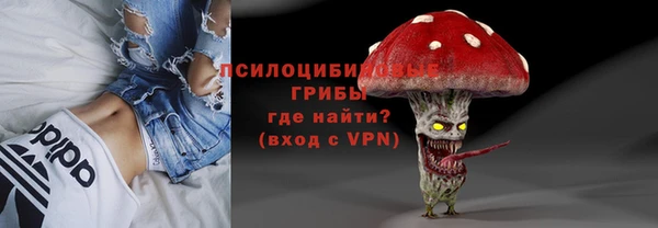 винт Ессентукская