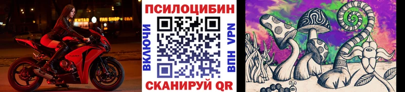 OMG вход  Астрахань  Галлюциногенные грибы Cubensis 
