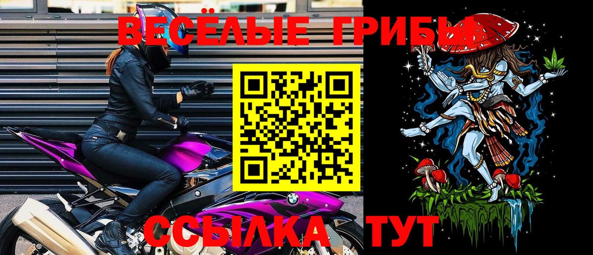 дарнет шоп  Вход с VPN  Россия  Галлюциногенные грибы прущие грибы 