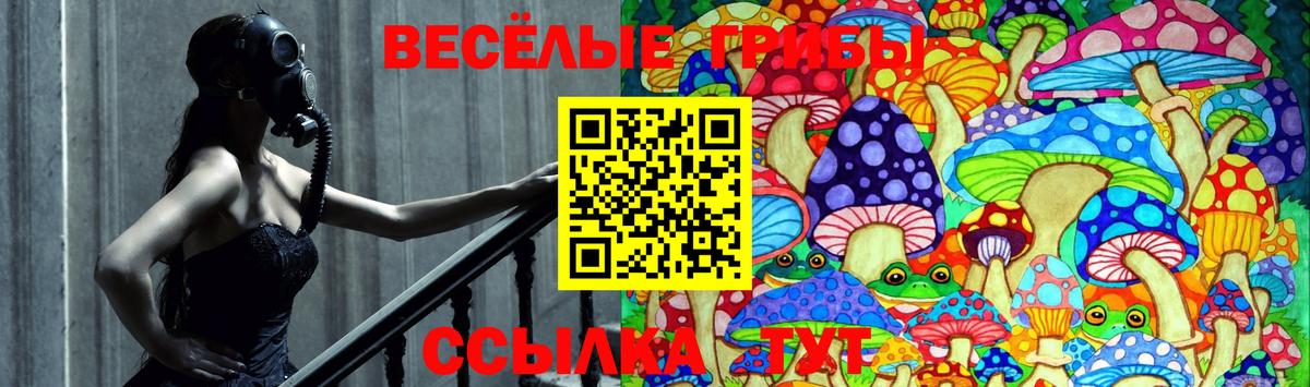 Псилоцибиновые грибы GOLDEN TEACHER  Россия  Псилоцибиновые грибы Magic Shrooms 